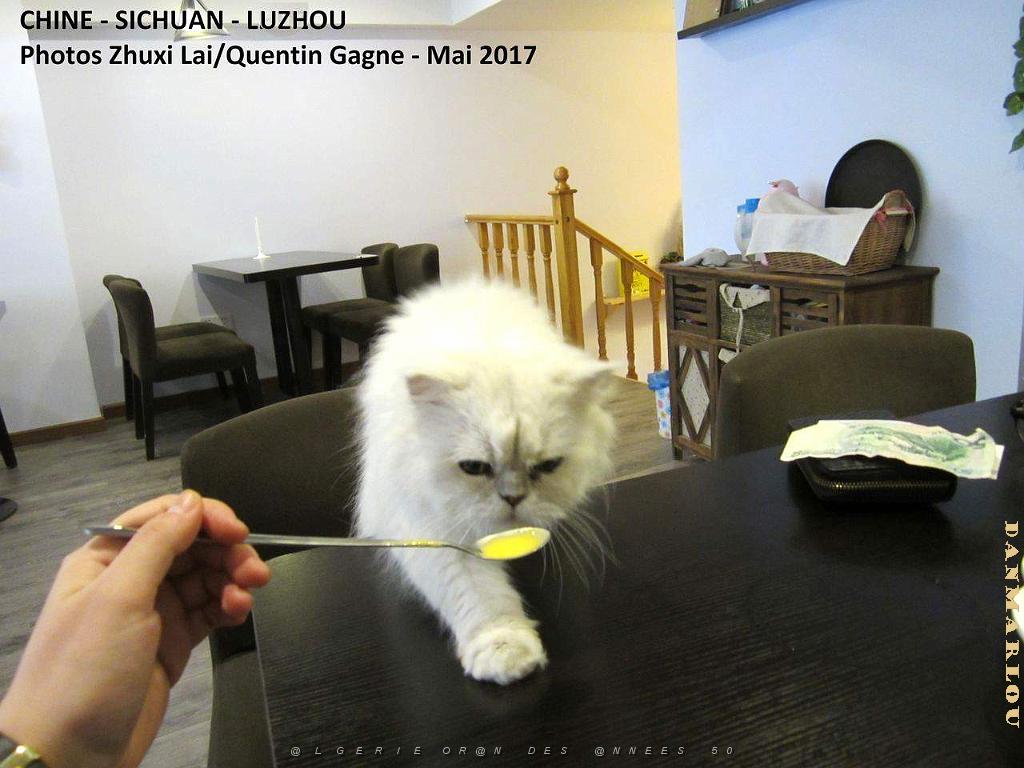 Luzhou 123.JPG